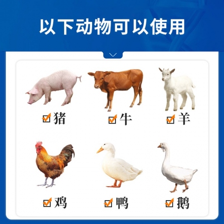 【中龍神力】銀黃提取物注射液獸藥獸用豬牛羊高熱混感抗菌病毒消炎藥
