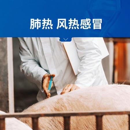 【中龍神力】苦木注射液獸用針劑豬牛羊健胃清熱通便促反芻風(fēng)熱獸藥