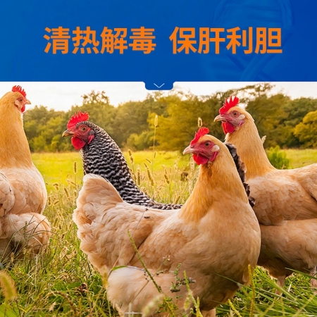 【中龍神力】肝膽顆粒500g/袋獸用保肝護腎獸藥通腎豬牛羊用正品