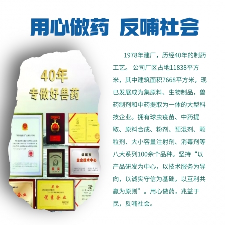 【牧之晨】20%氟苯尼考注射液 10ml*5支/盒 用于牛豬呼吸系統疾病、傷寒、副傷寒 獸用