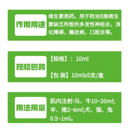 【牧之晨】開開胃 復合維生素B注射液10ml *5支/盒 獸用 消化障礙 癩皮病 口腔炎