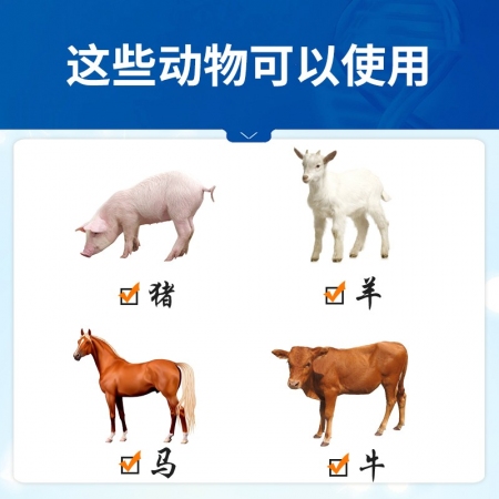 【中龍神力】小柴胡散豬牛藥高熱感冒發燒氣喘咳嗽抗病毒