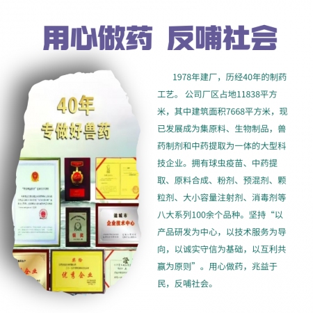 【牧之晨】30%鹽酸林可霉素注射液 獸用 用于革蘭氏陽性菌感染，豬密螺旋體和支原體感染