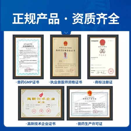 【中龍神力】芪貞增免顆粒獸用雞鴨鵝鴿子用滋補肝腎增強免疫力豬牛羊黃芪多糖