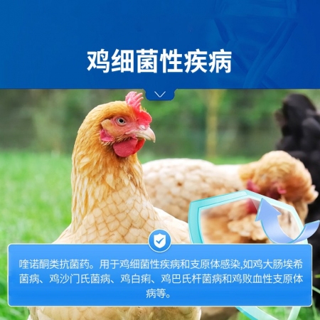 【中龍神力】30%鹽酸恩諾沙星可溶性粉雞藥鴨小鵝拉稀家禽呼吸道正品獸藥