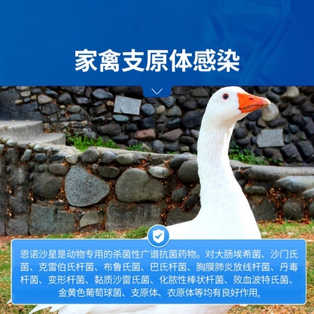 【中龍神力】30%鹽酸恩諾沙星可溶性粉雞藥鴨小鵝拉稀家禽呼吸道正品獸藥