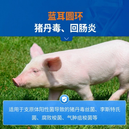 【中龍神力】25%酒石酸泰萬菌素可溶性粉藍耳回腸炎支原體感染豬雞藥