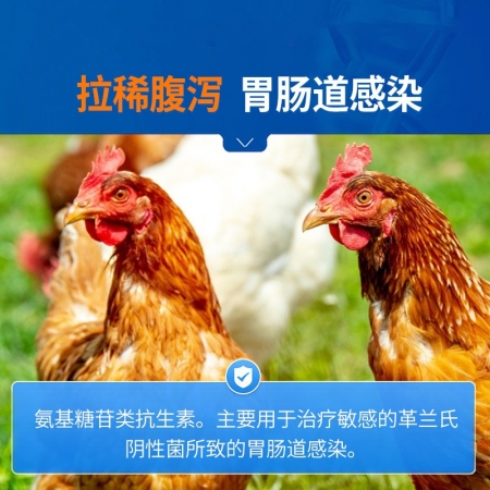 【中龍神力】32.5%硫酸新霉素可溶性粉獸藥豬雞鴨鵝腸炎腹瀉拉稀獸用