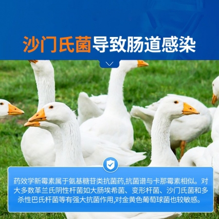 【中龍神力】32.5%硫酸新霉素可溶性粉獸藥豬雞鴨鵝腸炎腹瀉拉稀獸用