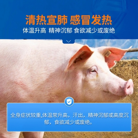 【中龍神力】止咳散獸用呼吸道藥豬牛羊肺炎咳嗽雞鴨鵝鴿畜禽中藥獸藥