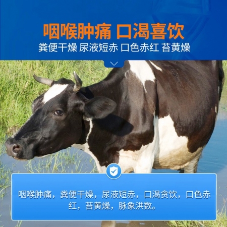 【中龍神力】止咳散獸用呼吸道藥豬牛羊肺炎咳嗽雞鴨鵝鴿畜禽中藥獸藥