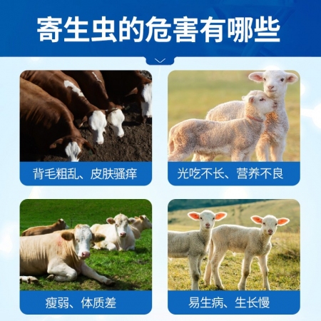 【中龍神力】阿苯達(dá)唑伊維菌素片牛羊驅(qū)蟲藥獸用體內(nèi)外打蟲藥蛔蟲螨蟲孕畜可用