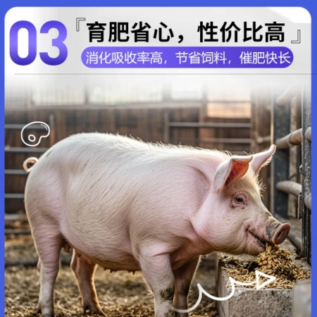 【新希望六和】益吃長(zhǎng)1kg