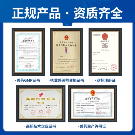 【中龍神力】藿香正氣口服液獸用雞鴨鵝豬牛羊畜禽解暑防中暑降溫獸藥