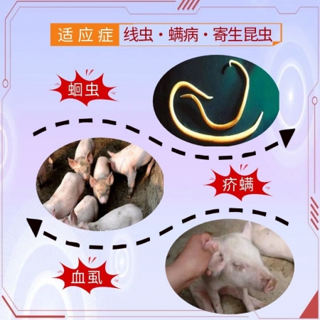 【宜生源】伊維菌素注射液10ml*10支 體內外驅蟲打蟲藥母豬驅蟲僵豬牛羊驅蟲藥蛔蟲蜱蟲疥螨靈跳蚤藥