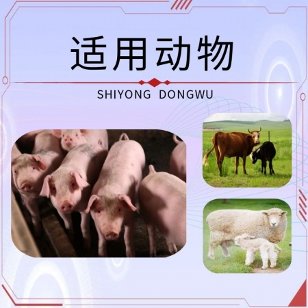 【宜生源】伊維菌素注射液10ml*10支 體內外驅蟲打蟲藥母豬驅蟲僵豬牛羊驅蟲藥蛔蟲蜱蟲疥螨靈跳蚤藥