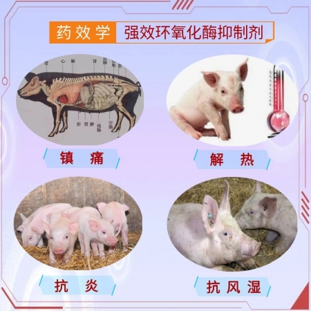 【宜生源】氟尼辛葡甲胺注射液10ml*10支 解熱退燒鎮痛鏈球菌高燒不退高熱混感稀釋頭孢青霉素母豬