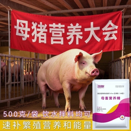 【愛要喂】母豬營養精母豬速補維生素微量元素能量電解質補氣血下奶水多消瘦蒼白貧血老...
