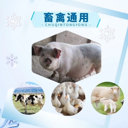 【宜生源】冰爽：藿香粗提物藿香薄荷散用于解暑降溫母豬熱應激肥豬高溫氣喘清涼一夏解暑消暑散VC粉抗應激