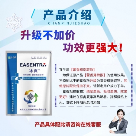 【宜生源】冰爽：藿香粗提物藿香薄荷散用于解暑降溫母豬熱應激肥豬高溫氣喘清涼一夏解暑消暑散VC粉抗應激