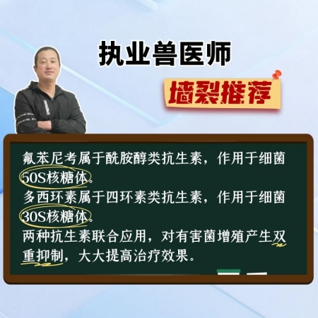 【宜生源】咳痢停 氟苯尼考注射液+多西環素注射液咳嗽氣喘呼吸道感染腹瀉下痢斷奶仔豬混感支原體肺炎腸炎