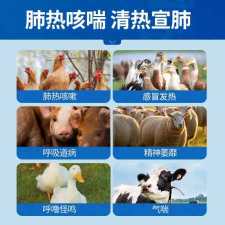 【中龍神力】500ml麻杏石甘口服液 感冒咳嗽 呼吸道感染 病毒性感冒 流鼻涕 國標真獸藥