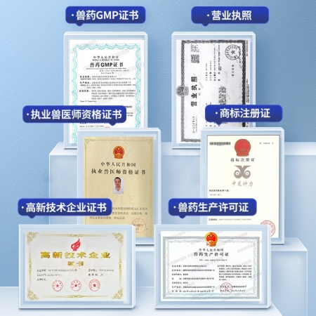 【中龍神力】500ml麻杏石甘口服液 感冒咳嗽 呼吸道感染 病毒性感冒 流鼻涕 國標真獸藥
