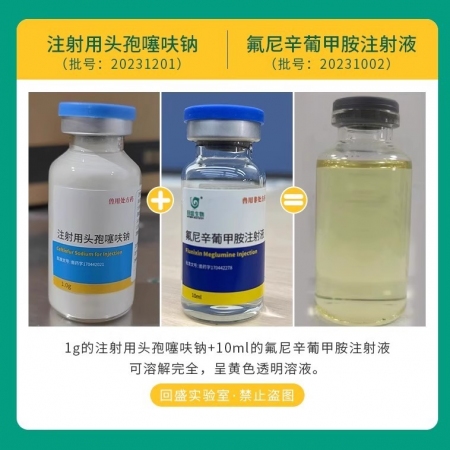 注射用頭孢噻呋鈉1g裝10瓶 抗菌消炎 治療呼吸道感染胸膜肺炎孕畜可用