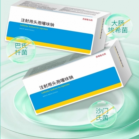 注射用頭孢噻呋鈉1g裝10瓶 抗菌消炎 治療呼吸道感染胸膜肺炎孕畜可用