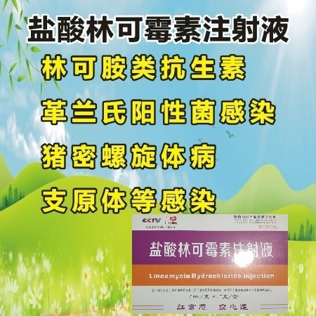【會德】鹽酸林可霉素注射液 母豬產(chǎn)后保健 子宮炎 產(chǎn)后消炎 關(guān)節(jié)炎 搭配魚腥草 ...