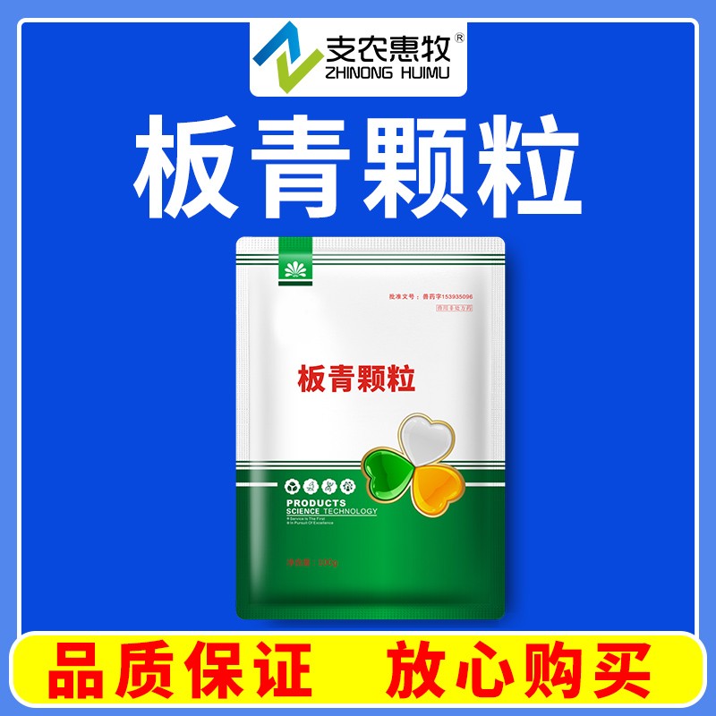 【支農惠牧】板青顆粒100g/袋板藍根大青葉 風熱感冒