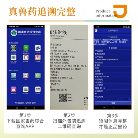 【豬大夫】雙黃連注射液獸藥 清熱解毒，肺熱咳喘，風(fēng)熱感冒，孕畜可用