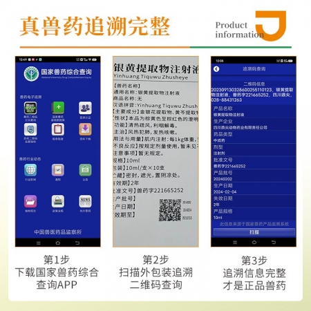 【豬大夫】銀黃提取物注射液 解熱退燒退熱消炎抗病毒流感呼吸道感染金銀花黃芩