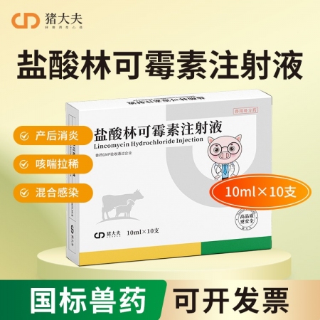【豬大夫】10%鹽酸林可霉素注射液 母豬產后保健 子宮炎乳房炎 廣譜抗菌