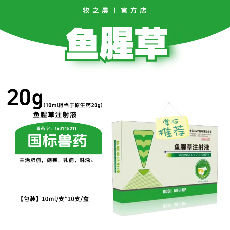【牧之晨】魚腥草注射液10ml*10支/盒 清熱解毒 消腫排膿 利尿通淋主治肺癰痢疾乳癰 淋濁