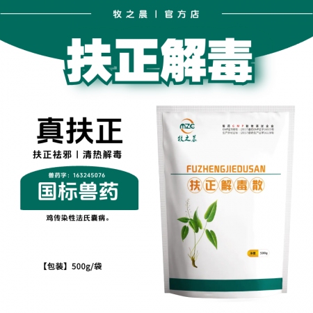 【牧之晨】扶正解毒散 500g 扶正祛邪清熱解毒