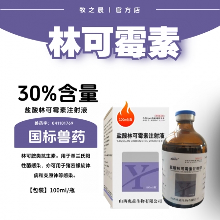 【牧之晨】30%鹽酸林可霉素注射液 獸用 用于革蘭氏陽性菌感染，豬密螺旋體和支原體感染