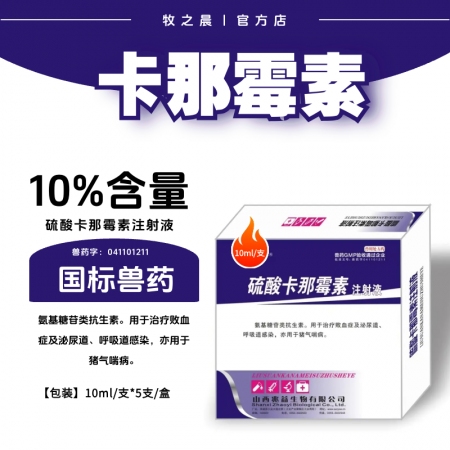 【牧之晨】10%硫酸卡那霉素注射液 10ml*5支/盒 用于治療敗血癥及泌尿道、呼吸道感染，豬氣喘病