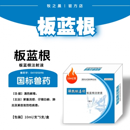 【牧之晨】板藍根注射液 10ml*5支/盒 清熱解毒。主治家畜流感、仔豬百痢、肺炎及某些發熱性疾病