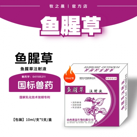 【牧之晨】魚腥草注射液10ml*5支/盒 清熱解毒 消腫排膿 利尿通淋主治肺癰痢疾乳癰 淋濁