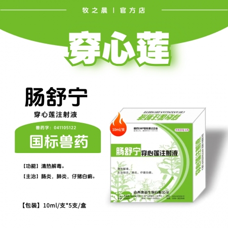 【牧之晨】 腸舒寧 穿心蓮注射液 10ml*5支/盒 清熱解毒 主治腸炎、肺炎、仔豬白痢