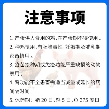 【畜典】20%氟苯尼考粉1000g 畜禽豬雞鴨漿膜炎咳嗽氣喘副豬鏈球胸膜肺炎呼吸道腸道