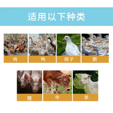 【正格農牧】育隆豬雞鴨支原體組合獸藥氟苯尼考泰樂菌素配伍肺炎咳喘消炎獸用