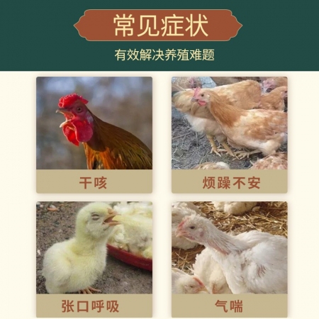 【正格農牧】育隆風寒感冒套組合用藥雞鴨鵝感冒咳嗽獸藥豬牛羊流感呼吸道獸藥