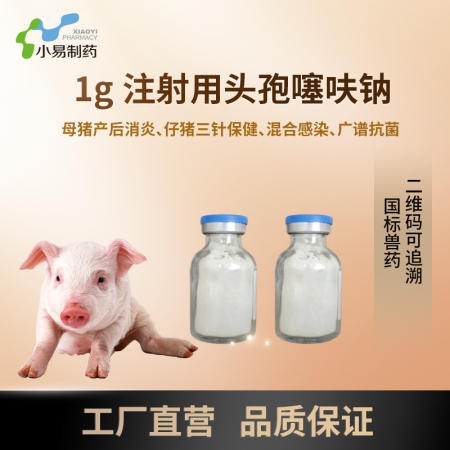 【小易制藥】粉針劑1g注射用頭孢噻呋鈉三代頭孢用于母豬產前產后消炎，仔豬三針保健，奶牛乳房炎等的治療