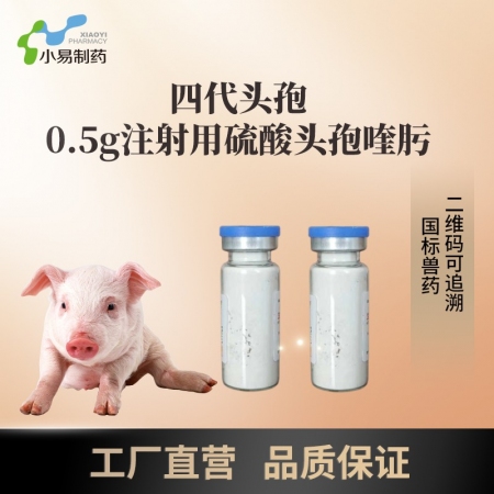 【小易制藥】第四代頭孢0.5g注射用硫酸頭孢喹肟廣譜抗菌消炎胸膜肺炎呼吸道疾病產...