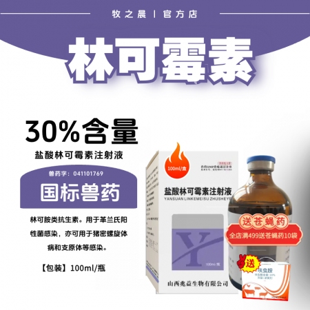 【牧之晨】30%鹽酸林可霉素注射液 獸用 用于革蘭氏陽性菌感染，豬密螺旋體和支原...