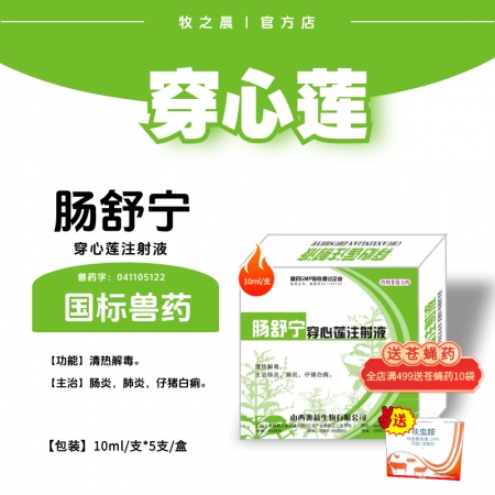 【牧之晨】 腸舒寧 穿心蓮注射液 10ml*5支/盒 清熱解毒 主治腸炎、肺炎、...