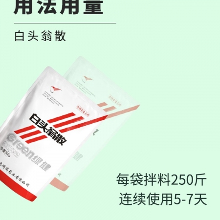 *【綠健獸藥】白頭翁散500g 清熱解毒涼血止痢濕熱泄瀉，下痢膿血