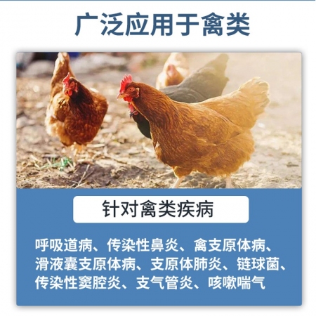 【正格農牧】育隆37.5%替米考星可溶性粉禽藥呼吸道支原體感染獸藥雞鴨咳嗽氣喘獸藥